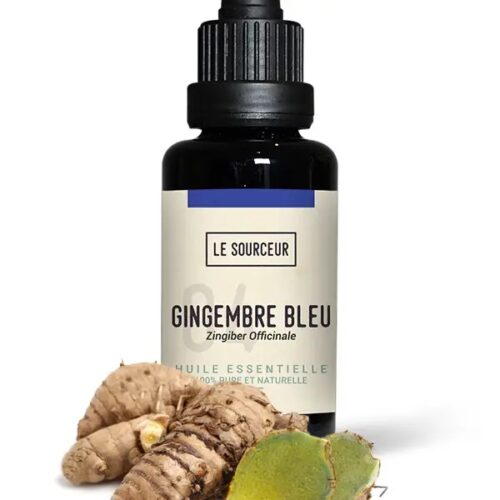 Gingembre bleu