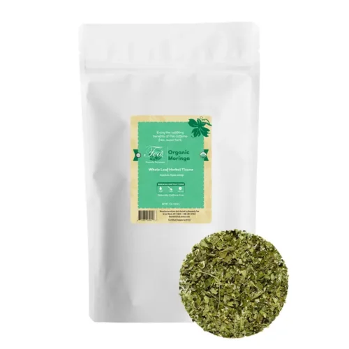 Moringa tisane biologique