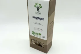 Gingembre