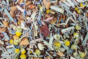 Infusion de rooïbos fruité et floral en sachet thé sans théine aux notes de fruits rouges et fleurs