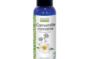 Camomille Romaine
