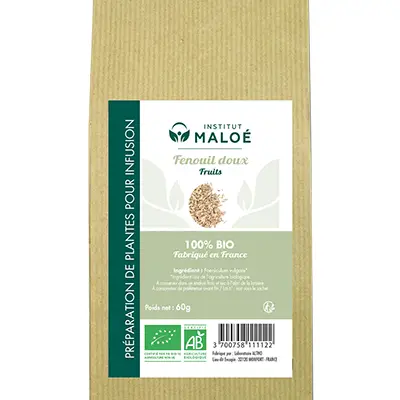 Plante Fenouil Bio