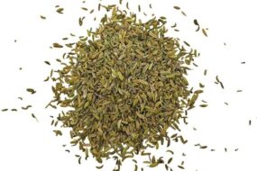 Fenouil bio frais, utilisé comme remède naturel pour soulager les ballonnements et favoriser une bonne digestion.